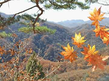 浙江韶山旅游攻略（浙江韶山市）